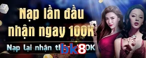 bk8